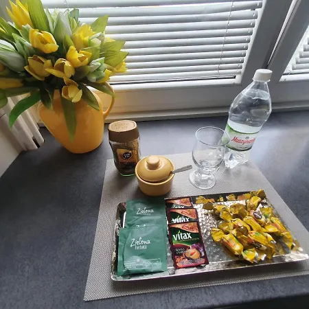 Apartment Mieszkanie 2-pokojowe Marysin *